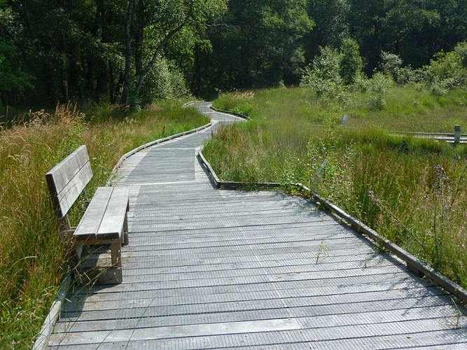 Lande Mouton_St Clément Rancoudray_accès©CDT Manche