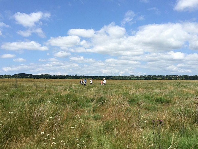 Doville_Réserve naturelle de la Sangsurière_1