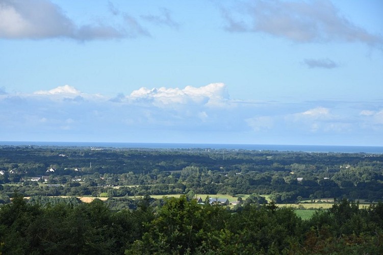 Doville-mont-Doville-vue-mer