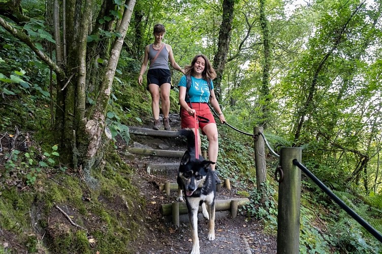 -Thierry-Houyel-mont-castre-65BD