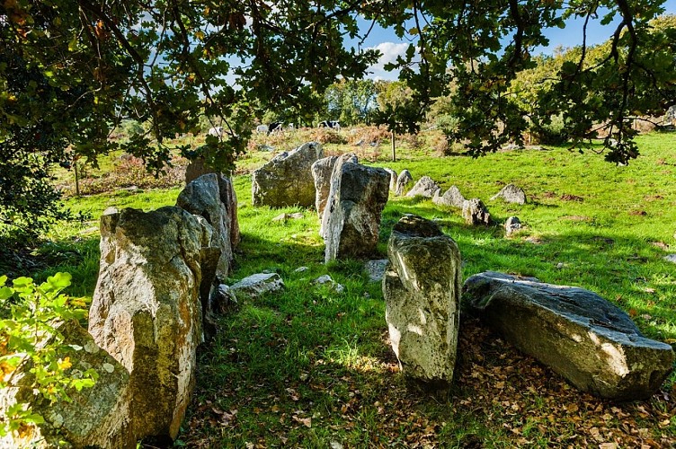 -Thierry-Houyel-montsenelle-4BD