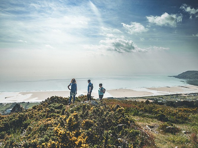 les-pieux-la-roche-a-coucou-armel-vrac-0