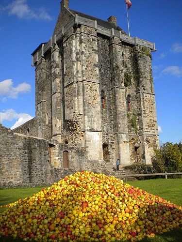 saint-sauveur-le-vicomte-verger-conservatoire-3