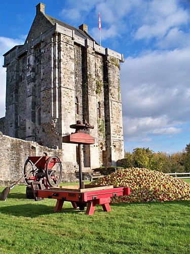 saint-sauveur-le-vicomte-verger-conservatoire-4