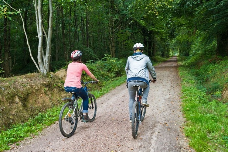 saint-sauveur-le-vicomte-foret-domaniale-4