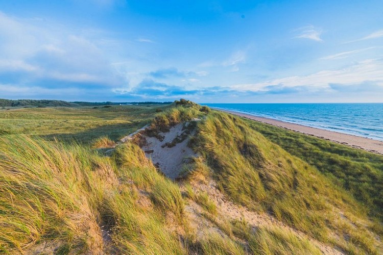Dunes d'annoville teddy bear photos (11)