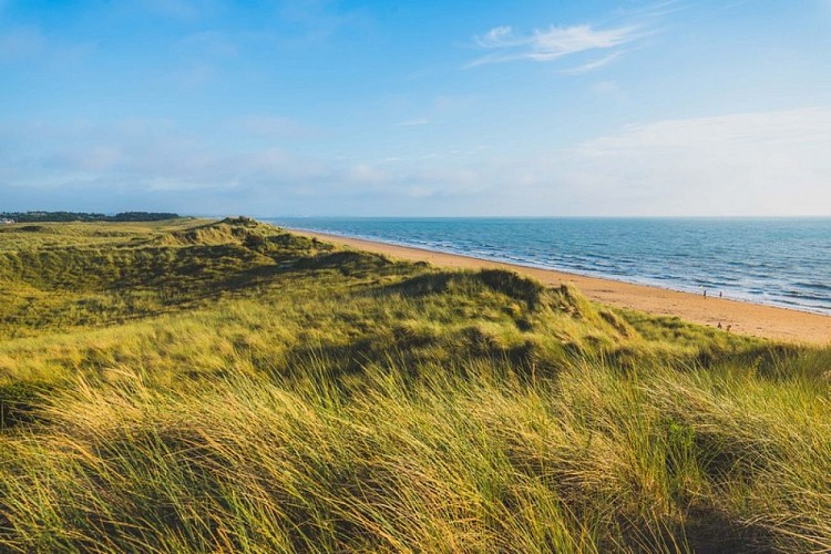 Dunes d'annoville teddy bear photos (7)