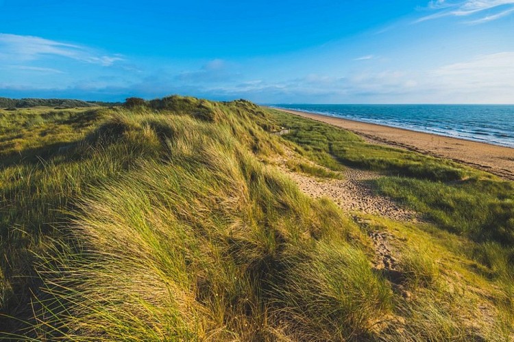 Dunes d'annoville teddy bear photos (5)