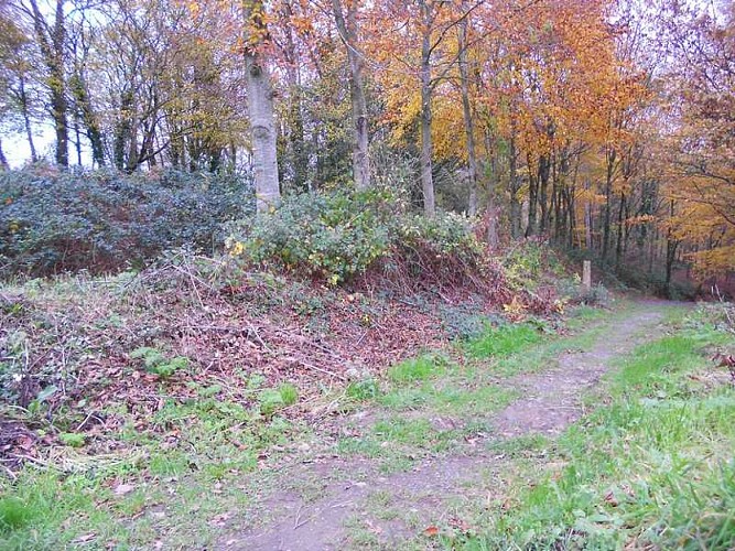 coutances-sentier-des-3-vallees (2)