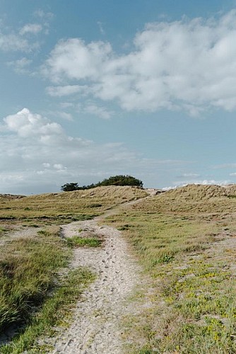 Aymeric PICOT_Reportage2020_HavredelaVanlée-04443