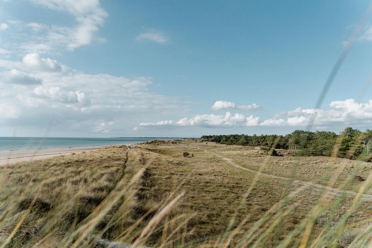 Aymeric PICOT_Reportage2020_HavredelaVanlée-04475