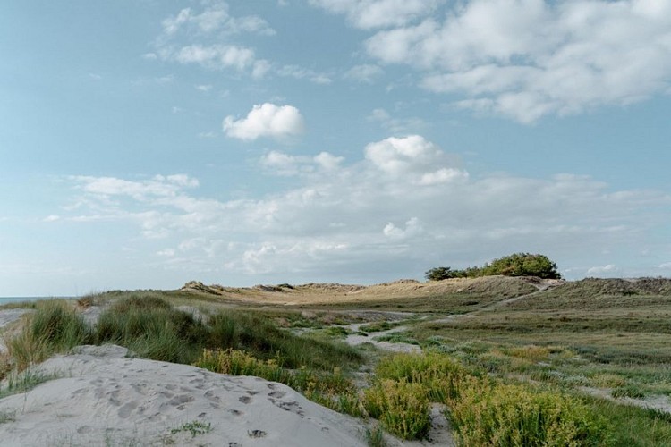 Aymeric PICOT_Reportage2020_HavredelaVanlée-04436