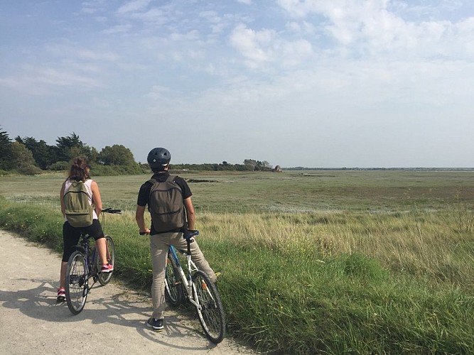 saint-germain-sur-ay-sortie-velo©M.Choquet