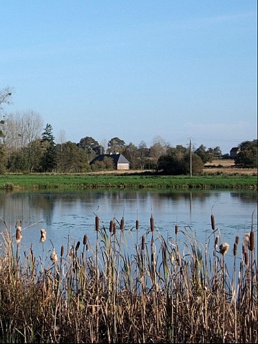 oseraie de Remilly les marais