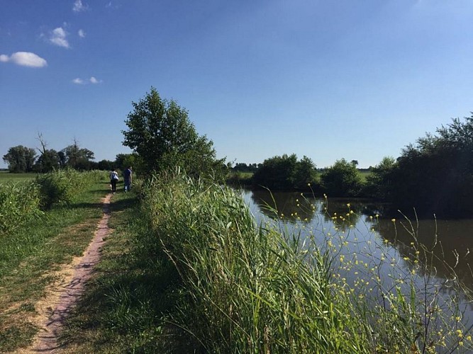 maison-des-ormes-montmartin-en-graignes-4
