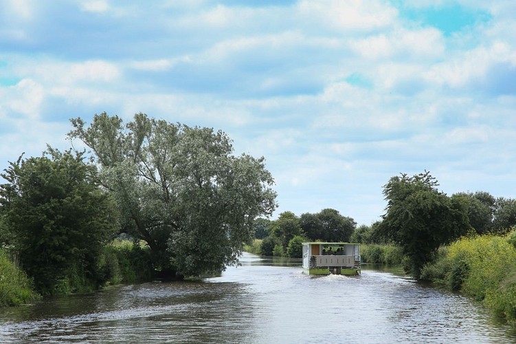 maison-des-ormes-montmartin-en-graignes-1