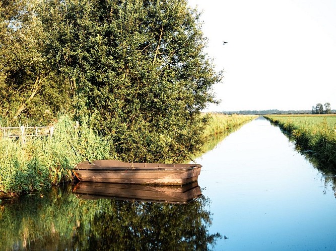Marais du Cotentin et du Bessin