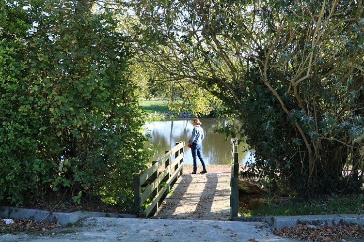 etang-balade-la-feuillie-manche©MChoquet