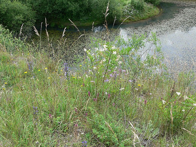 La carrière de la Tourelle - Espace naturel sensible Orne