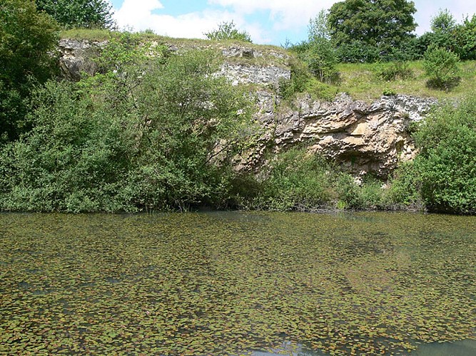 La carrière de la Tourelle - Espace naturel sensible Orne