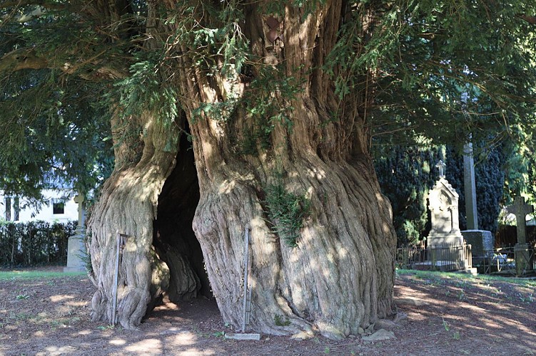 Ifs-de-la-Lande-Patry-jer