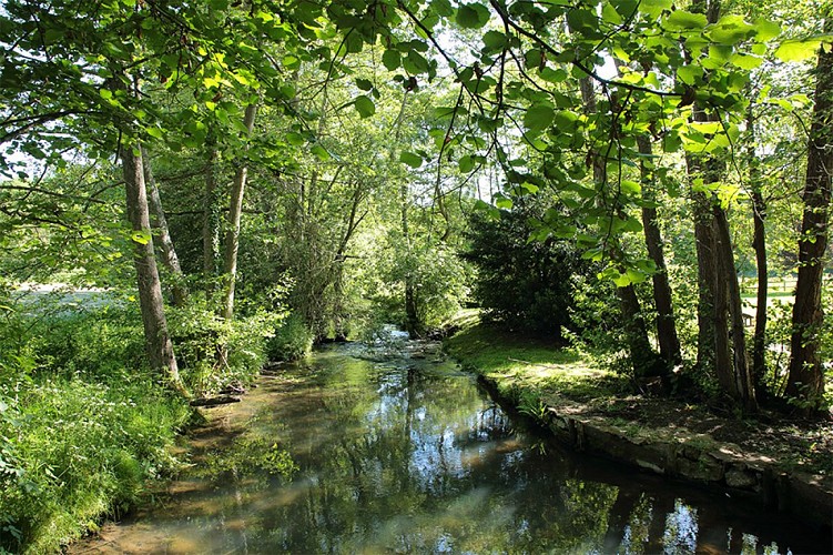 Résurgence Guiel La Ferté en Ouche