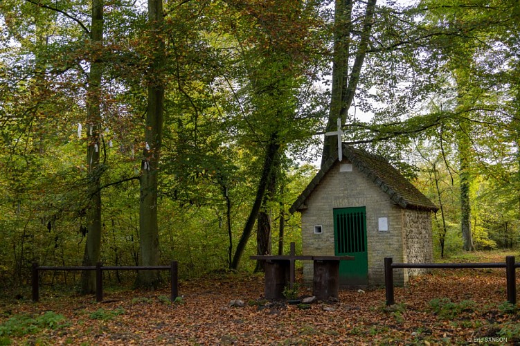 arbres-a-noeuds-la-chapelle-st-maur-foret-de-brotonne-2©EricSanson