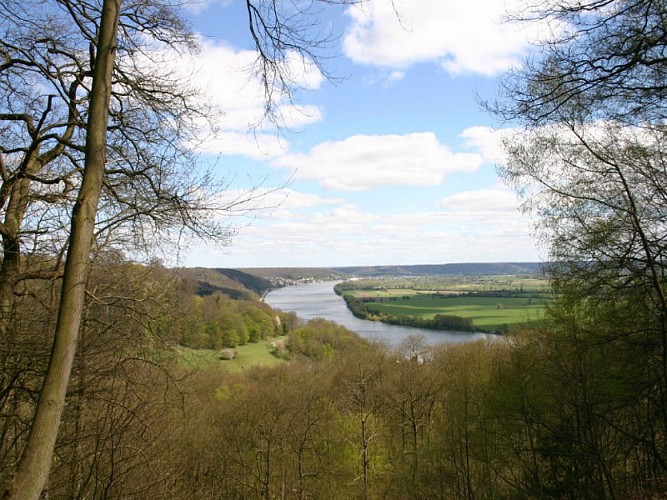 Bois-de-Villequier-1