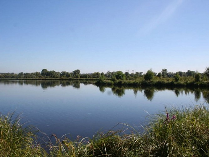 Tourbiere-d-Heurteauville-1