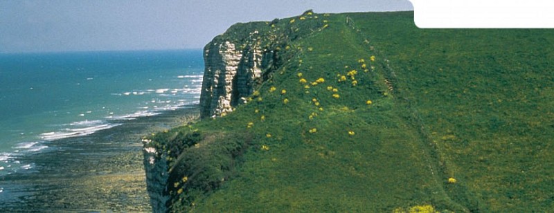 Valleuse de Bénouville