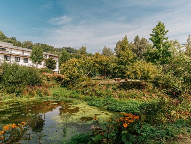 Archipel des eaux mêlées  Duclair 5