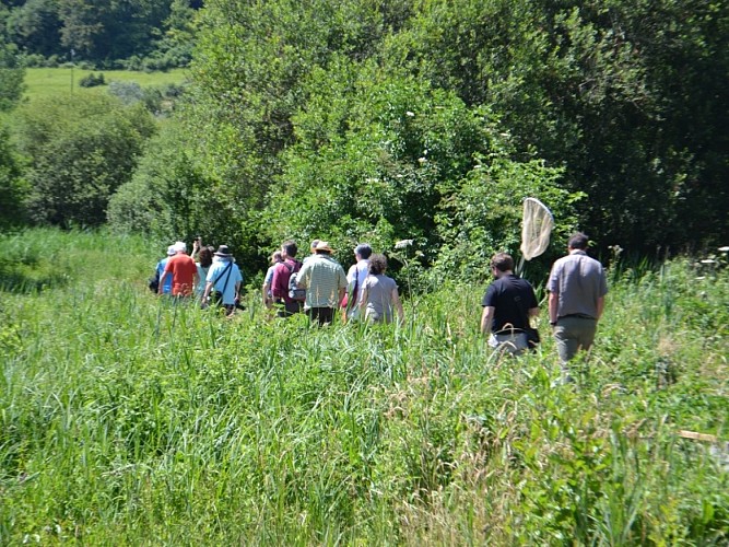 Marais des communaux