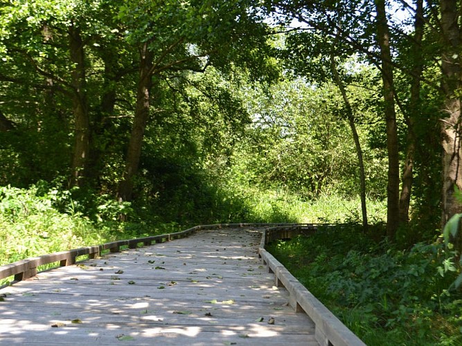 Marais-des-communaux