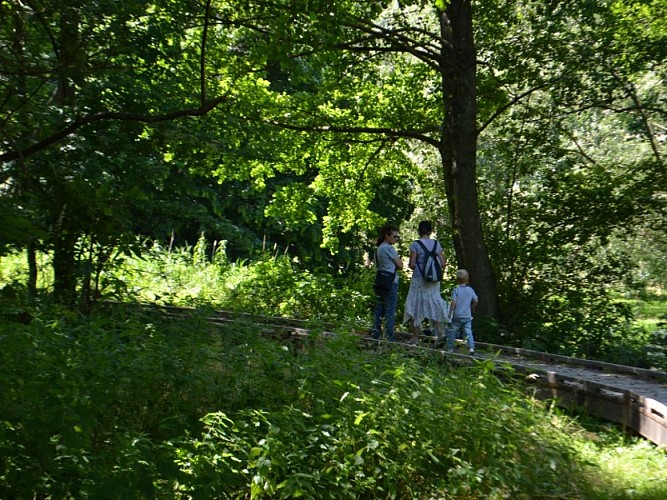 Marais des communaux 3 800x600