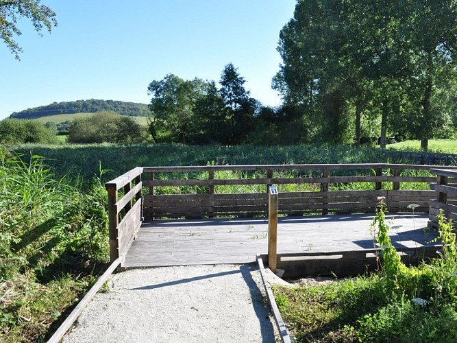 Normanville (9) 800x600