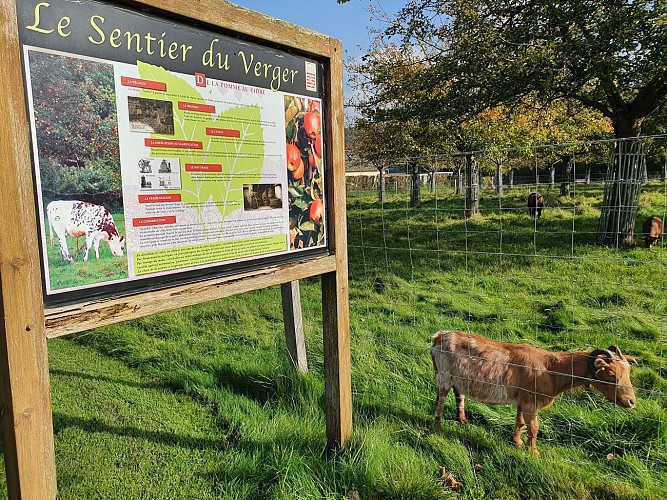 Panneau explicatif au verger
