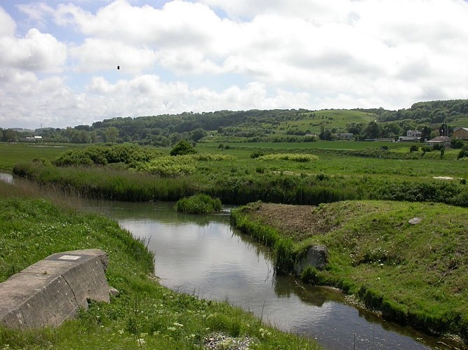 Yeres-Buse-Criel-Magali-2