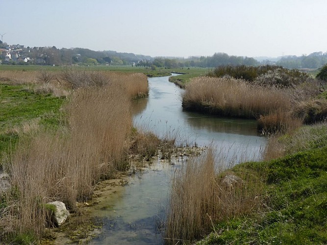 Yeres-Buse-Criel-1-Magali-2