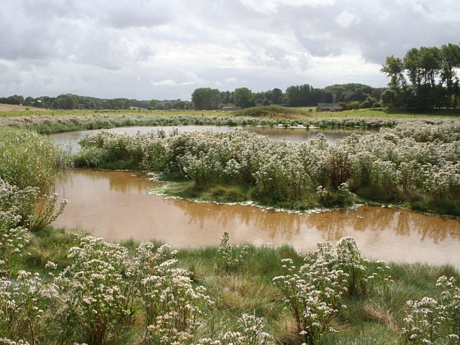 1- Basse Vallée du Dun