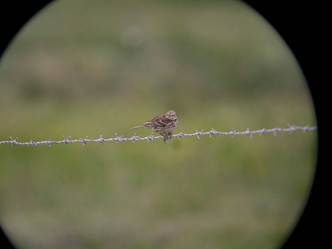 Basse Vallée du Dun