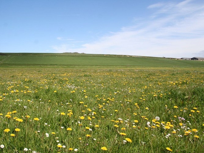 2- Basse Vallée du Dun