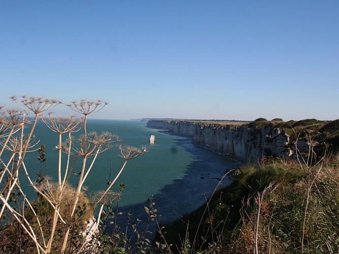 Falaise d'Amont 2