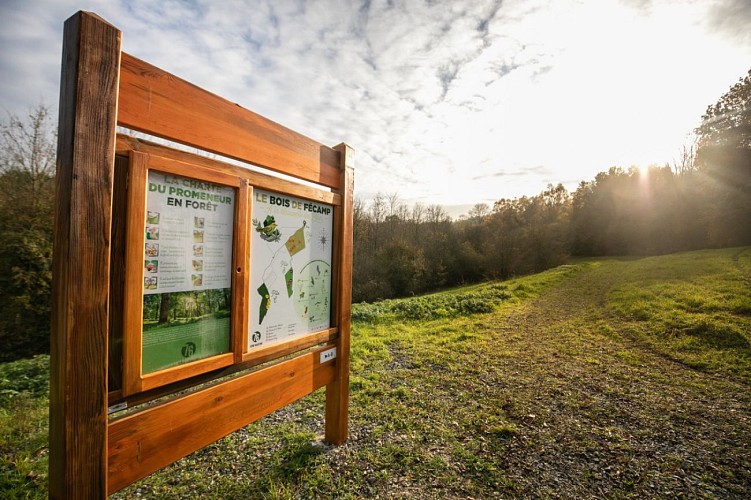 Parcours pédagogique du Bois de Fécamp