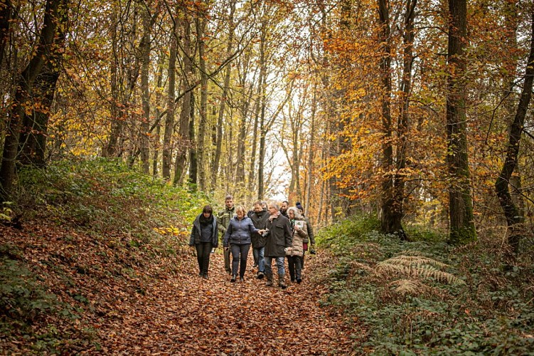 Parcours pédagogique du Bois de Fécamp