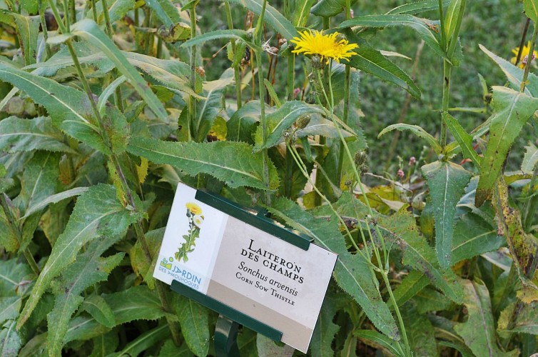 PNA-mesnil-durdent-jardin-des-amouhoques-ccca-2020--2-