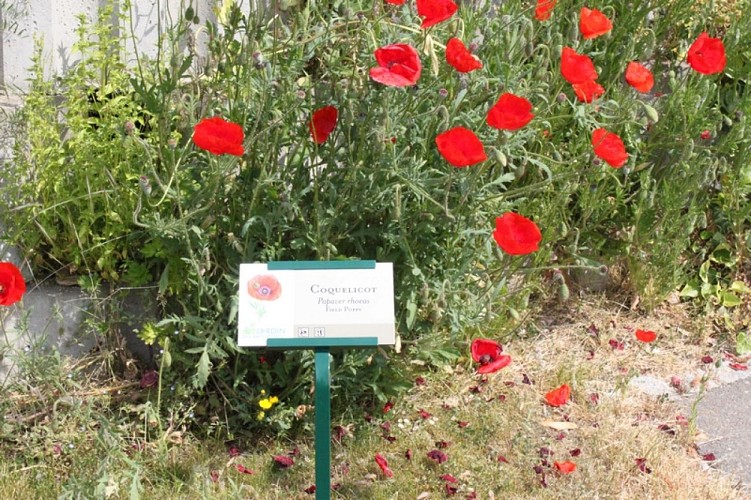 Jardin des Amouhoques