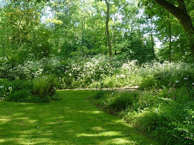Jardin des Amouhoques - Mesnil Durdent (4)