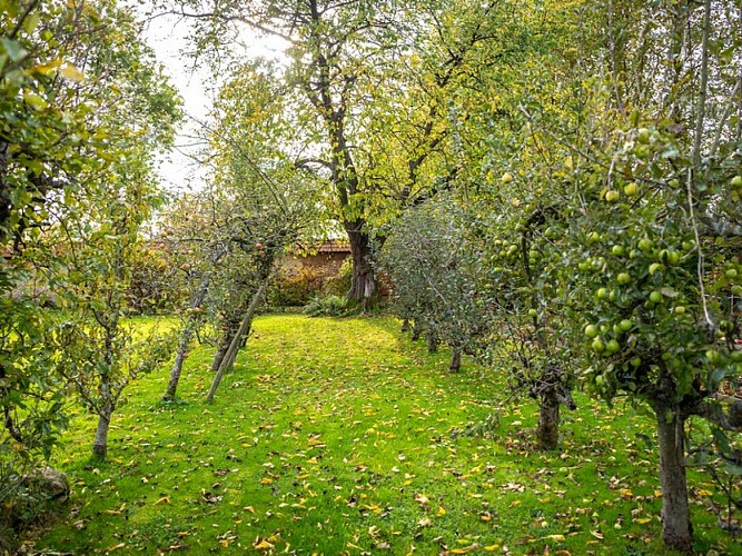 Yvetot-Jardin-clos-G