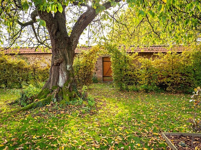 Yvetot-Jardin-Clos-G