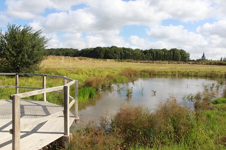 PNA_ourville_mare-briqueterie©ccca-2019 (1)